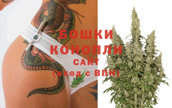 гашиш Касимов